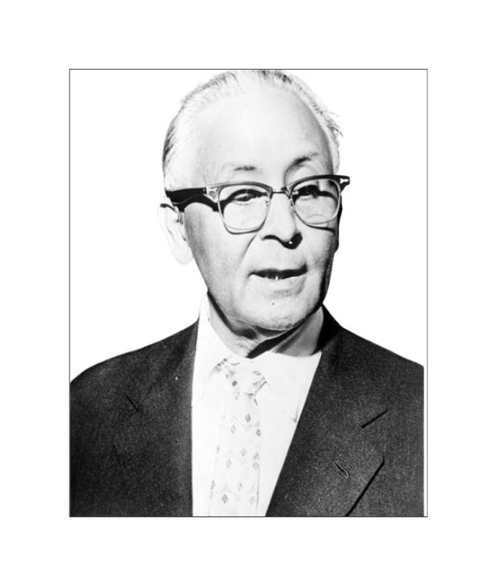 Rafael F. Bonnelly, retrato de los años 1970